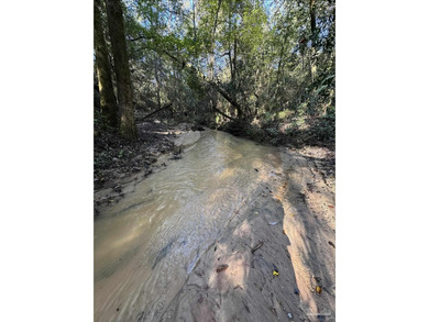 (private lake, pond, coastal) Acreage For Sale in Jay Florida