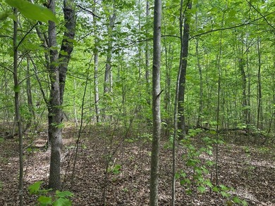 #73150-Hidden Hollow!! Thinking of building your new home? - photo 1