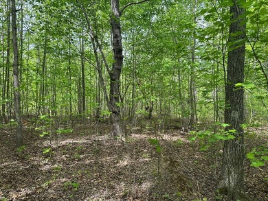 #73150-Hidden Hollow!! Thinking of building your new home? - photo 2
