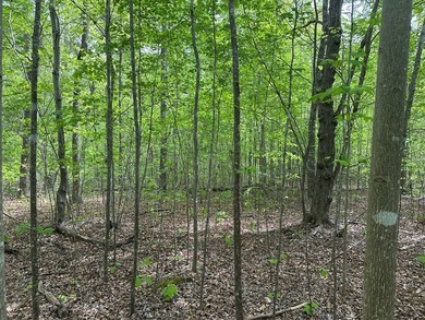 #73150-Hidden Hollow!! Thinking of building your new home? - photo 5