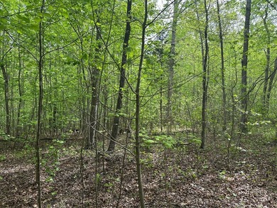 #73150-Hidden Hollow!! Thinking of building your new home? - photo 6