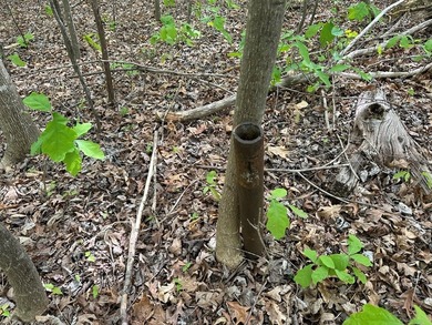 #73150-Hidden Hollow!! Thinking of building your new home? - photo 8