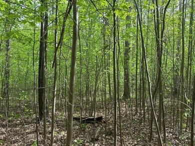 #73150-Hidden Hollow!! Thinking of building your new home? - photo 9
