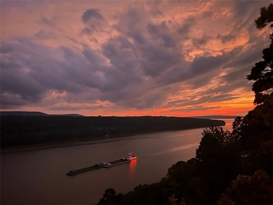 Here is your opportunity to own one of the best views in the - photo 56