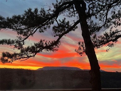 Here is your opportunity to own one of the best views in the - photo 59