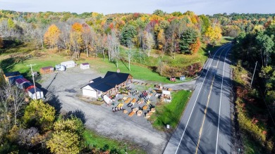 Lake Commercial Off Market in Rock Stream, New York