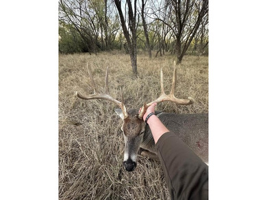 (private lake, pond, creek) Acreage For Sale in Anson Texas