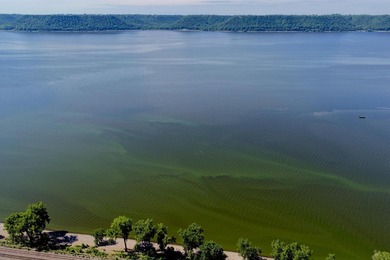 The best of Lake Pepin at your fingertips and the perfect - photo 31