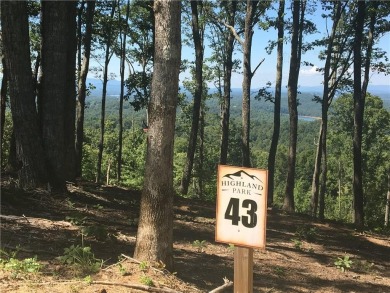 Lake Lot For Sale in Blairsville, Georgia