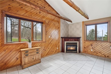 Set on 3 acres in the hills of Hector, this 3,100 sq ft - photo 9