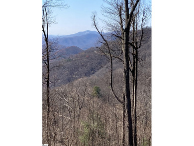 Nestled in the mountains just minutes from Greenville, SC, this