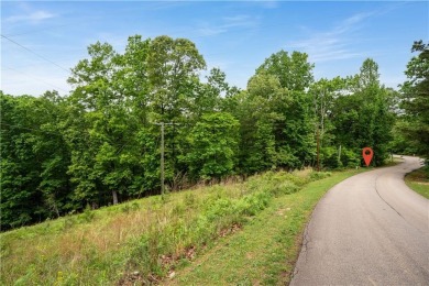Lake Lot For Sale in Gainesville, Georgia
