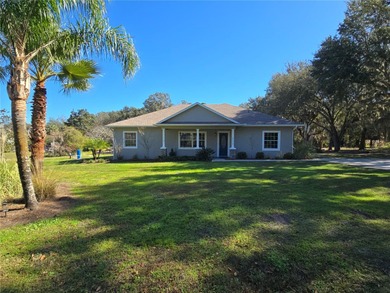 Lake Harris Home For Sale in Yalaha Florida