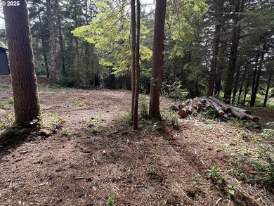 Build your dream home on the beautiful Oregon Coast with this - photo 11
