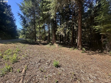 Build your dream home on the beautiful Oregon Coast with this - photo 12