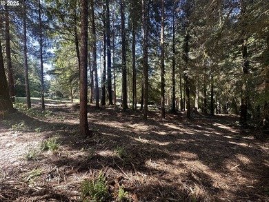Build your dream home on the beautiful Oregon Coast with this - photo 13