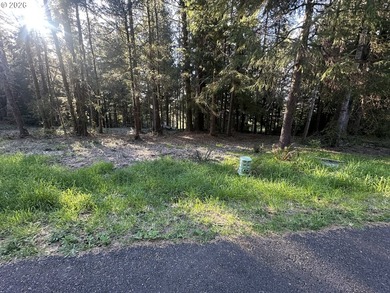 Build your dream home on the beautiful Oregon Coast with this - photo 14