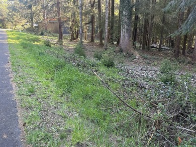 Build your dream home on the beautiful Oregon Coast with this - photo 15
