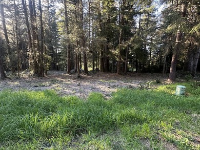 Build your dream home on the beautiful Oregon Coast with this - photo 18