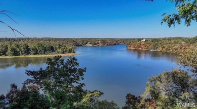 Fully Renovated with Stunning Lake Tuscaloosa Views! This - photo 3