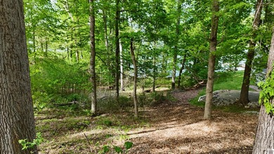 Incredible investment opportunity on Lake Barkley! Two adjoining - photo 12