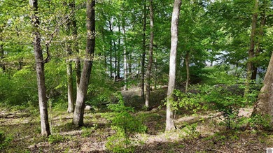 Incredible investment opportunity on Lake Barkley! Two adjoining - photo 13