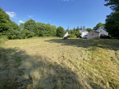 In-town parcel waiting for your building ideas. This is a level - photo 3