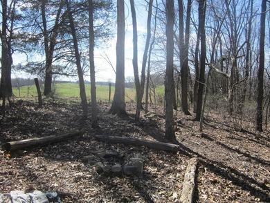 Discover peaceful country living in the River Bluffs - photo 36