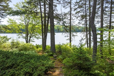 An extraordinary private compound on Boyd Pond in Bristol, where - photo 48