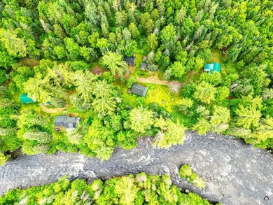 Take to the woods and experience a place unlike any other - photo 1