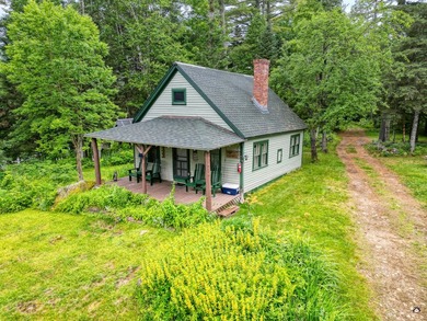 Take to the woods and experience a place unlike any other - photo 2