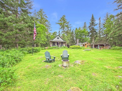 Take to the woods and experience a place unlike any other - photo 3