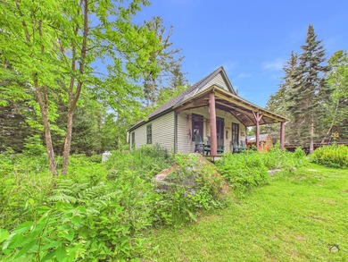 Take to the woods and experience a place unlike any other - photo 4