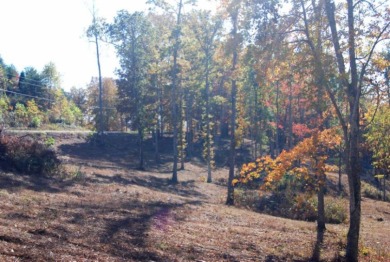 Beautiful Property, Gated Community, Lots of Amenities - photo 2