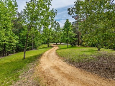 Well-maintained 3 bedroom, 2 bath mobile home on 74 acres. The - photo 31