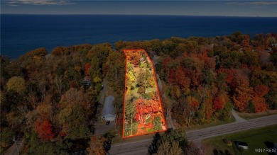 Lake Erie Lot For Sale in Evans New York