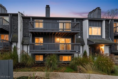 Lake Erie - Lorain County Condo Sale Pending in Lorain Ohio