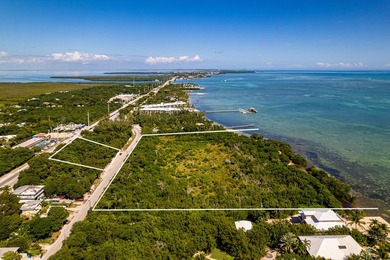 OCEANFRONT ACREAGE IN HEART OF ISLAMORADA! Discover a unique - photo 11