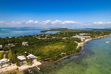 OCEANFRONT ACREAGE IN HEART OF ISLAMORADA! Discover a unique - photo 12