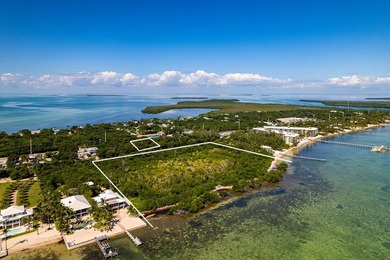 OCEANFRONT ACREAGE IN HEART OF ISLAMORADA! Discover a unique - photo 13