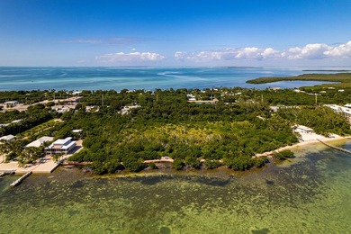 OCEANFRONT ACREAGE IN HEART OF ISLAMORADA! Discover a unique - photo 14
