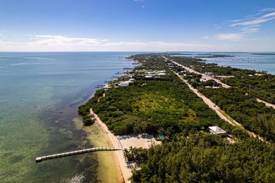 OCEANFRONT ACREAGE IN HEART OF ISLAMORADA! Discover a unique - photo 18