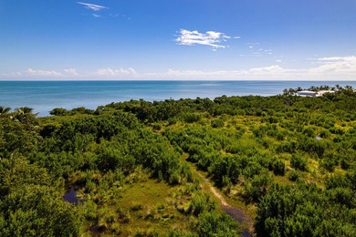 OCEANFRONT ACREAGE IN HEART OF ISLAMORADA! Discover a unique - photo 20