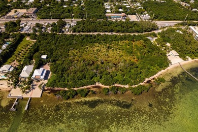 OCEANFRONT ACREAGE IN HEART OF ISLAMORADA! Discover a unique - photo 22