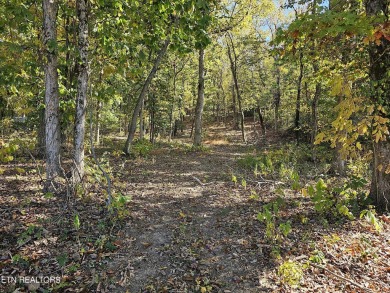 Lake Lot Sale Pending in Louisville, Tennessee