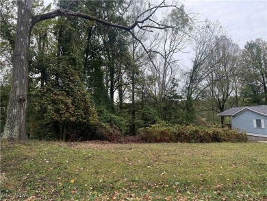 Lake Mohawk Lot Sale Pending in Malvern Ohio