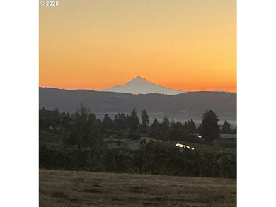 Oregon Vineyard Property is pleased to present this historically - photo 4