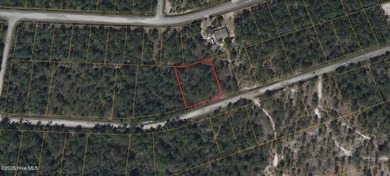This property is Located in a Green Conservation zone meaning it - photo 1