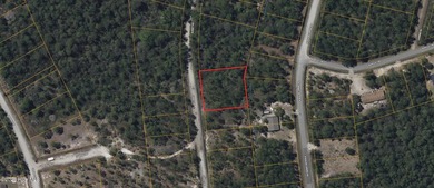 This property is Located in a Green Conservation zone meaning it - photo 3