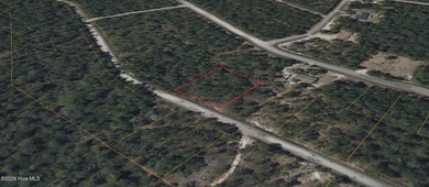 This property is Located in a Green Conservation zone meaning it - photo 4